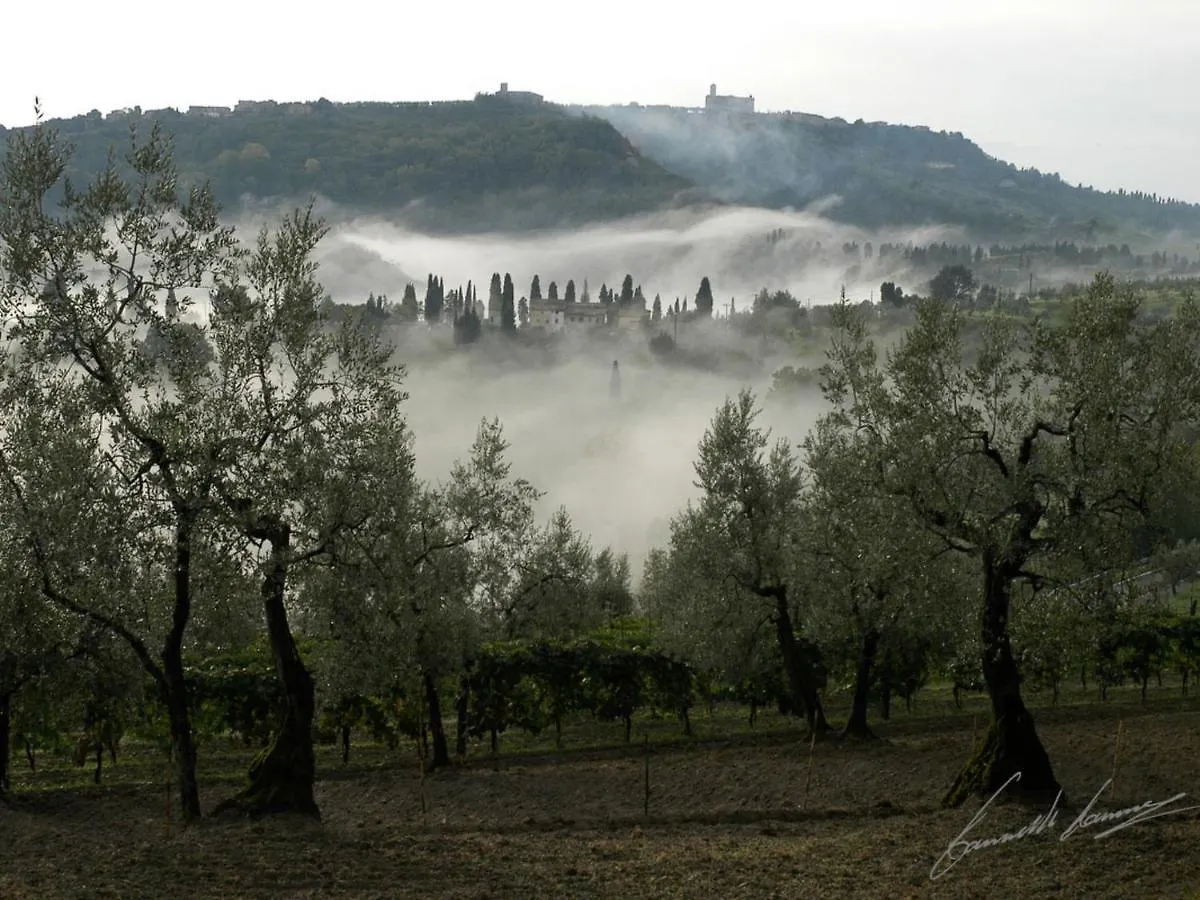 Apartment Podere Cafaggiolo-3 By Interhome Volterra Italy
